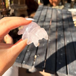 Crystal Spider Carving — photo 5