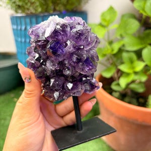 Amethyst Flower Display — photo 4
