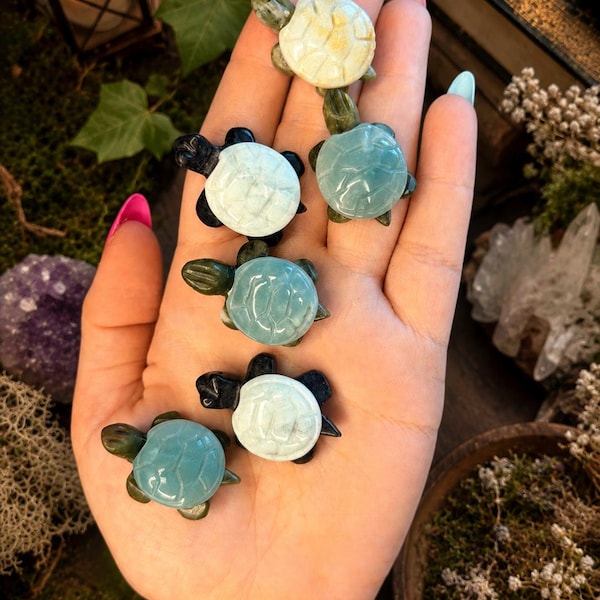 Caribbean Calcite Turtle Carving