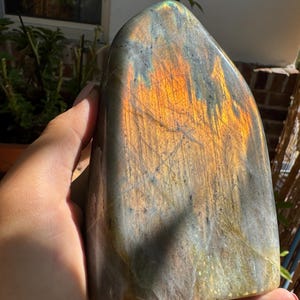 Large Labradorite Freeform — photo 6