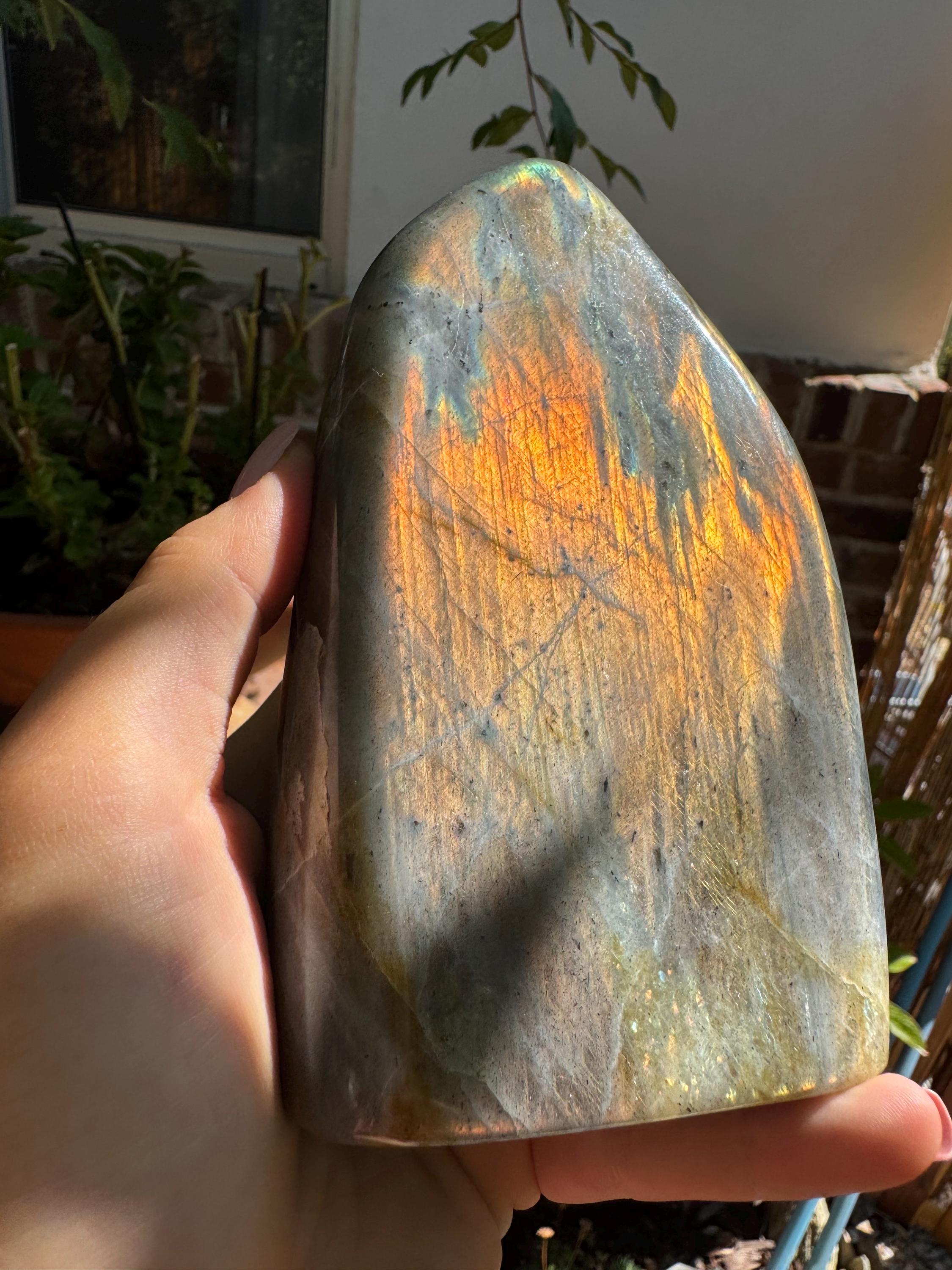 Large Labradorite Freeform — photo 6