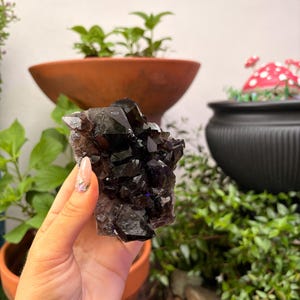 Smoky Quartz Cluster — photo 4