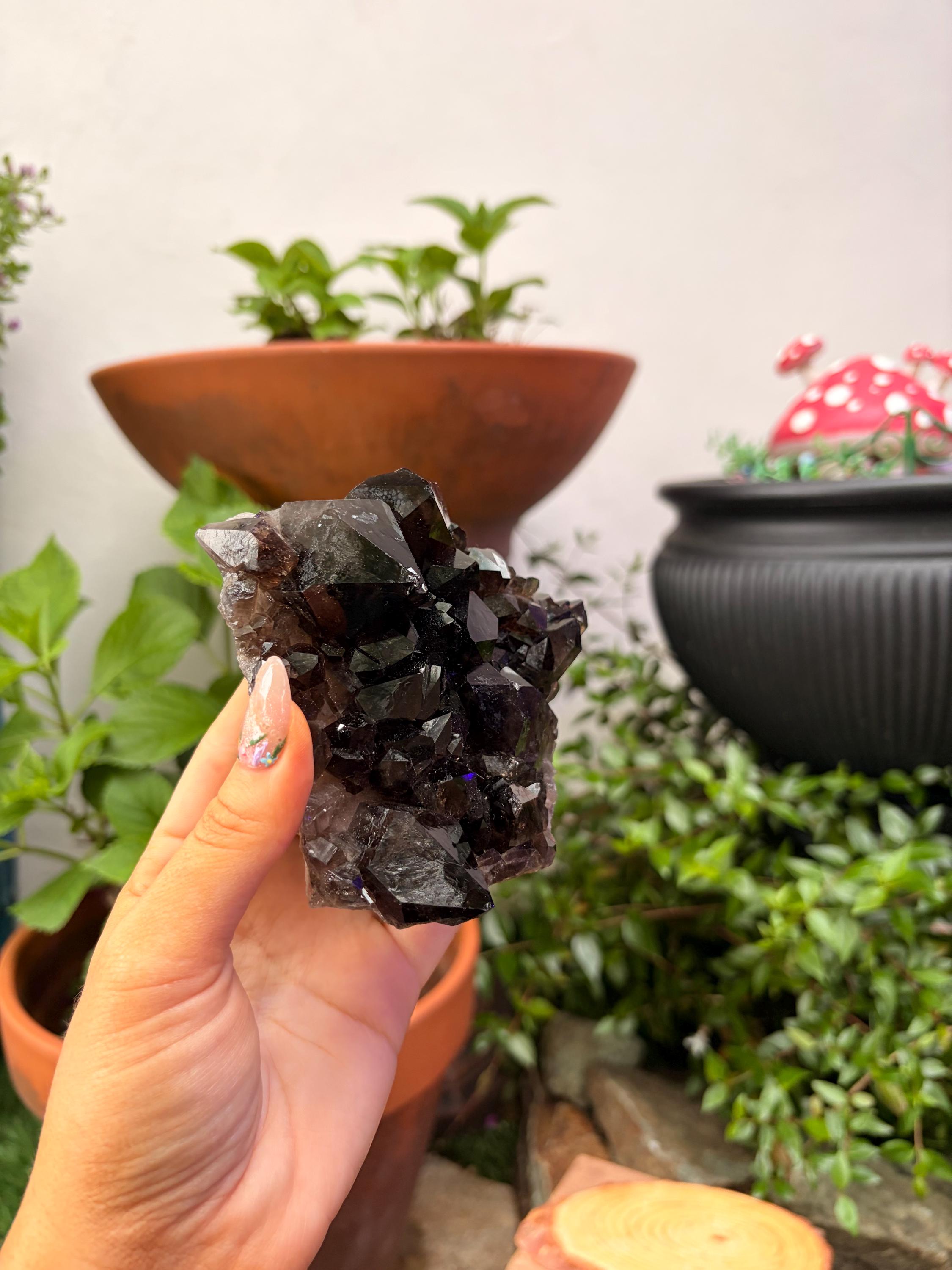 Smoky Quartz Cluster — photo 4