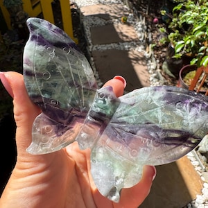 Rainbow Fluorite Butterfly — photo 3