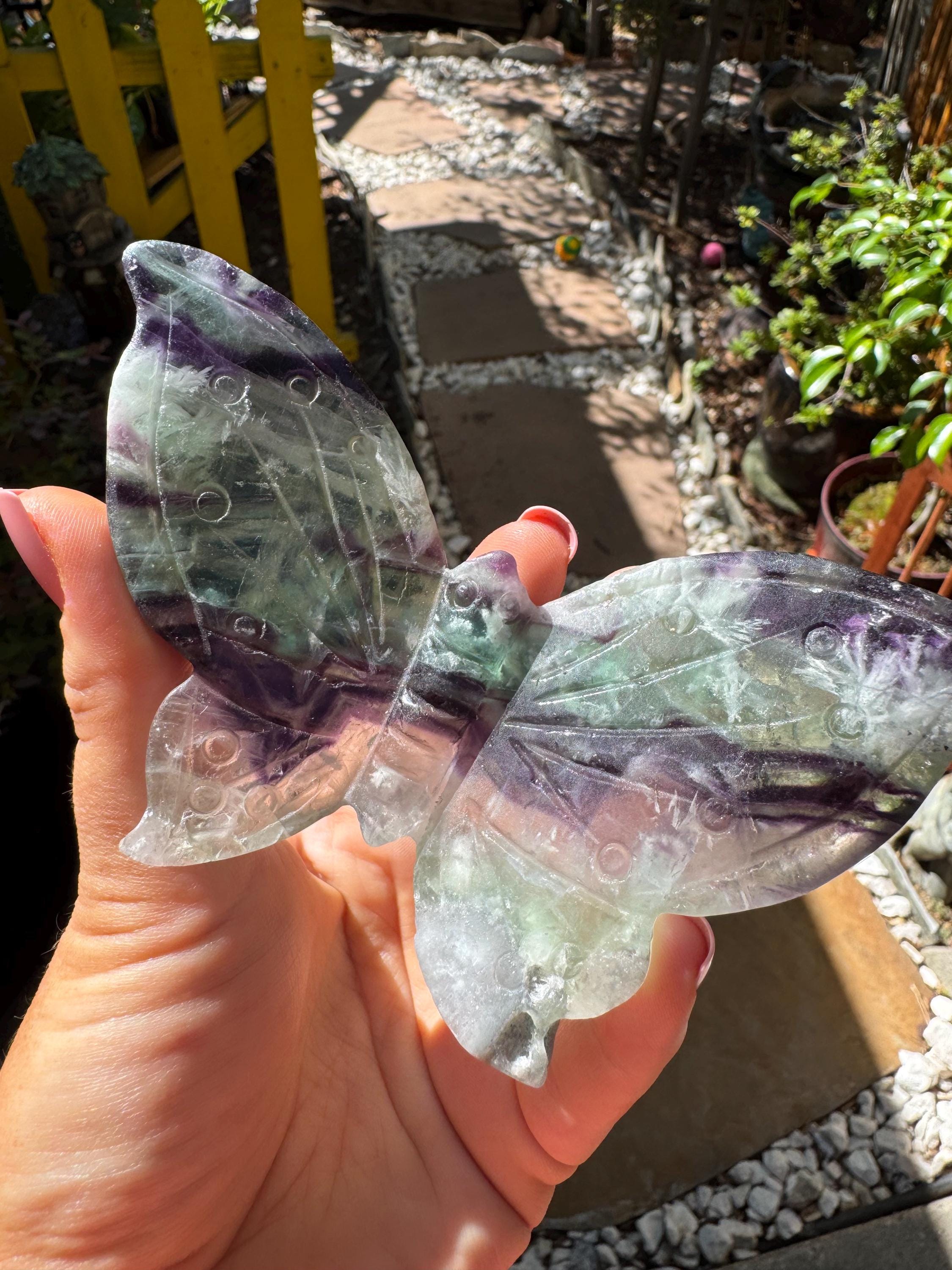 Rainbow Fluorite Butterfly — photo 3