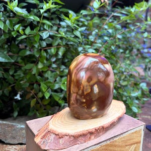 Polished Jasper Freeform — photo 6