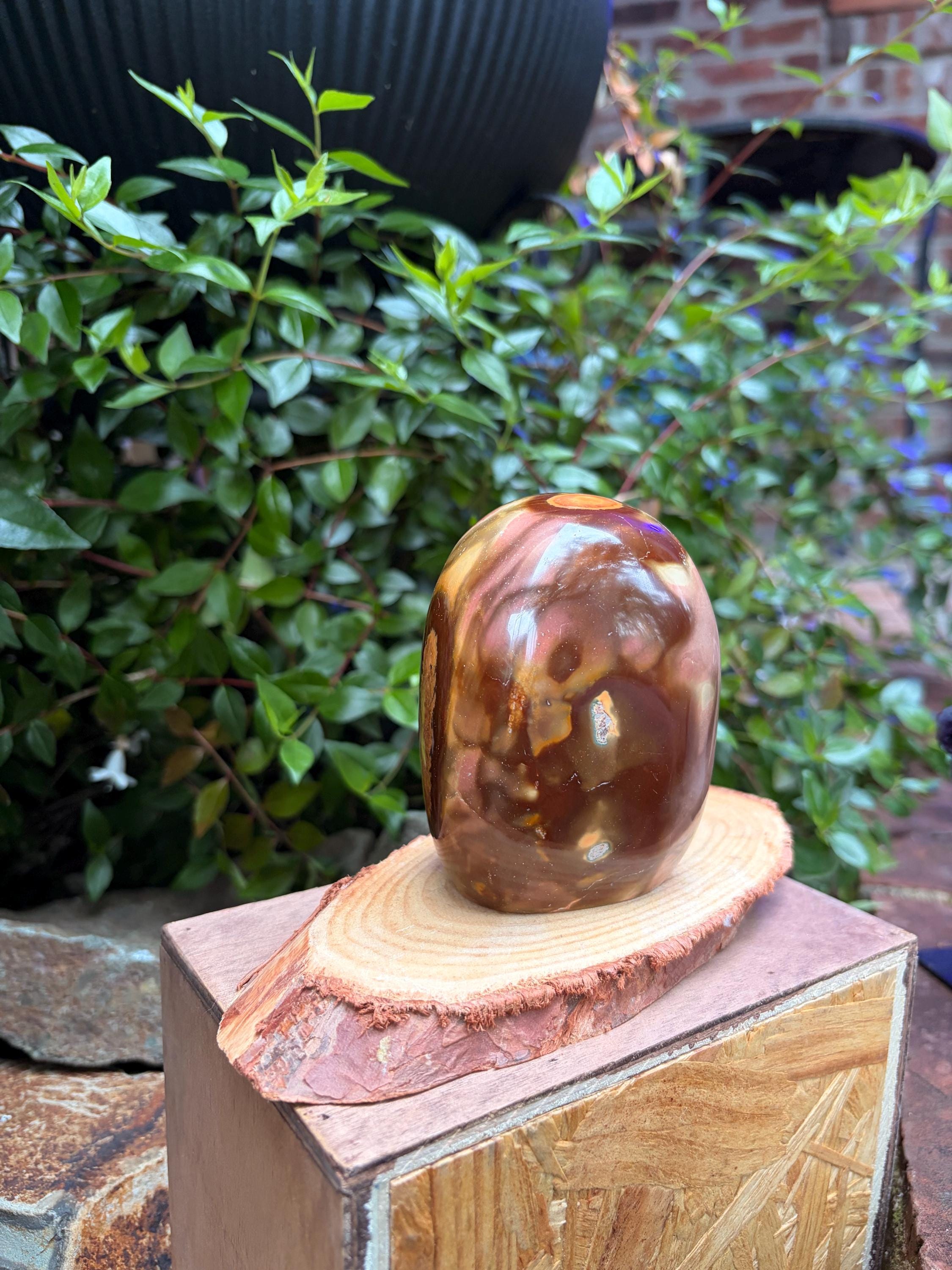 Polished Jasper Freeform — photo 6