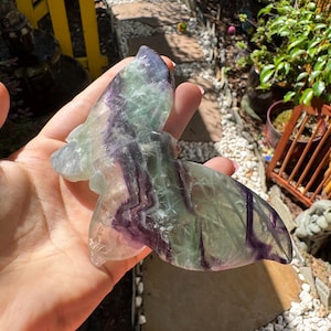 Rainbow Fluorite Butterfly — photo 4