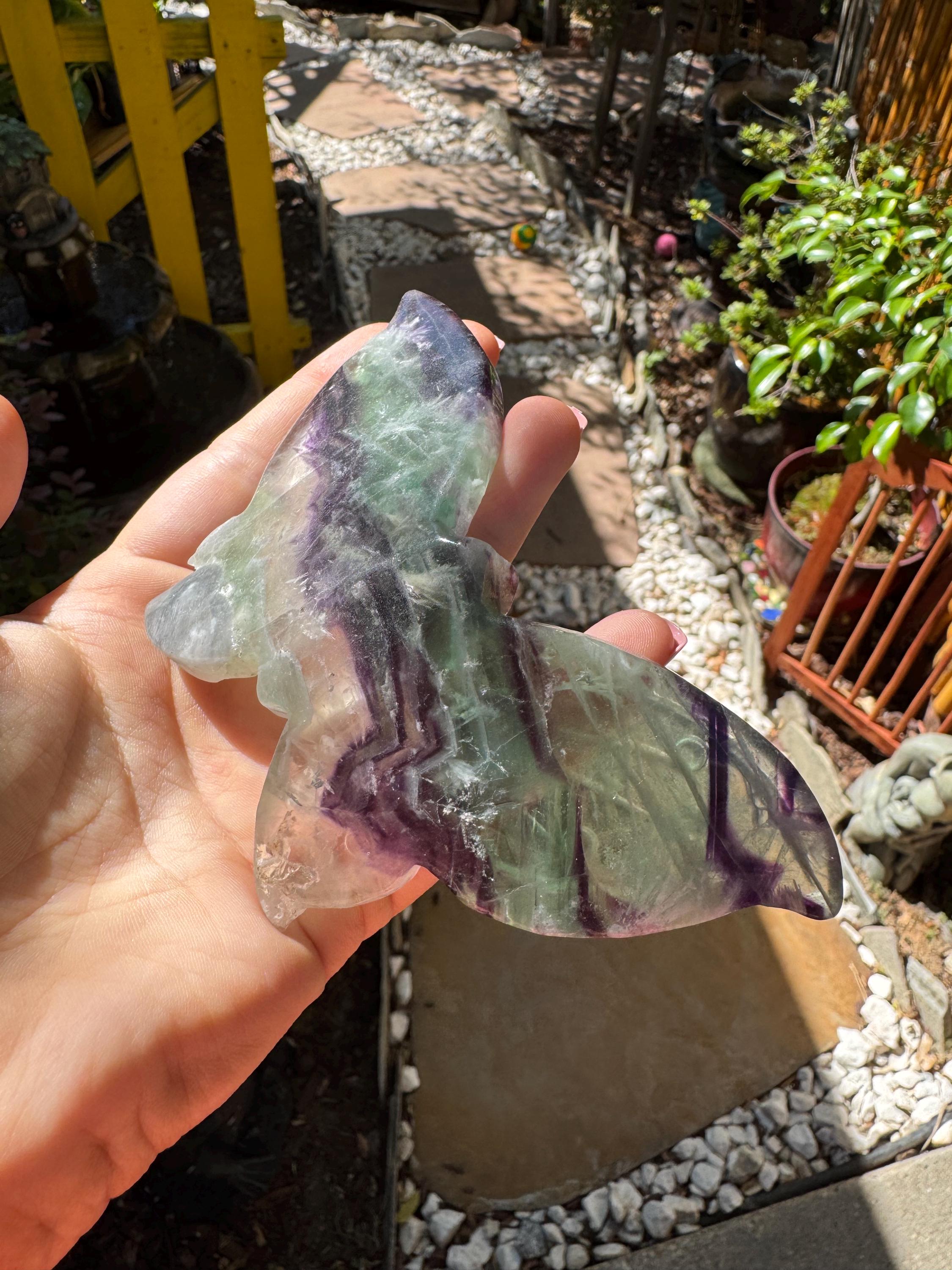 Rainbow Fluorite Butterfly — photo 4