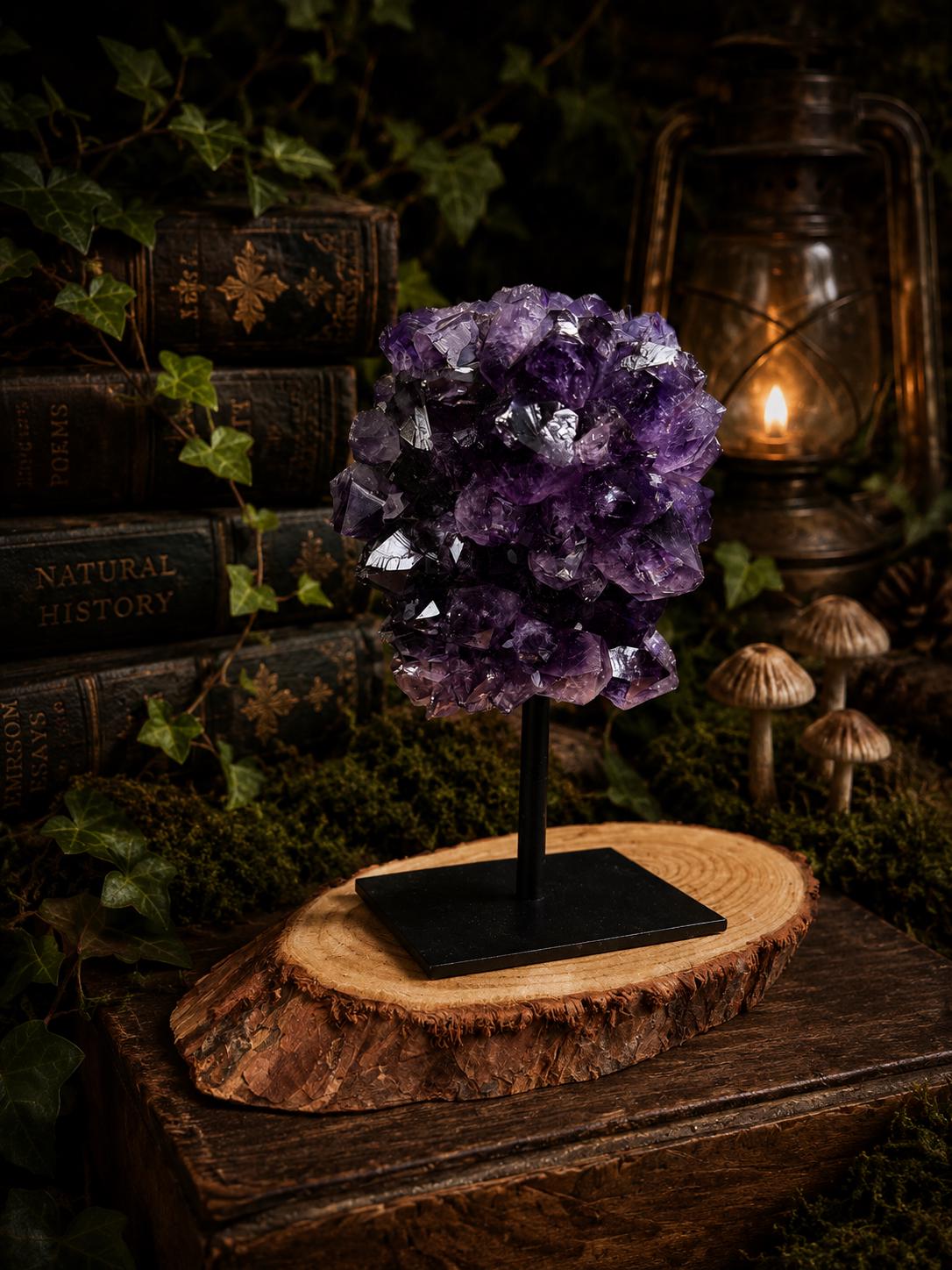 Amethyst Flower Display