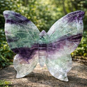 Rainbow Fluorite Butterfly — photo 2
