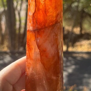 May include: A tall, orange-red crystal point with a faceted top. The crystal has a translucent quality, with variations in colour and texture. The background is blurred, with green foliage and sunlight.