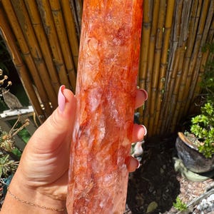 May include: A large, faceted crystal point in shades of orange and red. The crystal is held up against a backdrop of bamboo stalks and greenery. The crystal's surface has a textured appearance, with variations in colour and opacity.