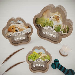 Custom Pet Memorial Box, Pet Fur Keepsake, Pet Hair Storage Box, Acrylic Box with Pet Picture, Pet Tooth Memorial Gift