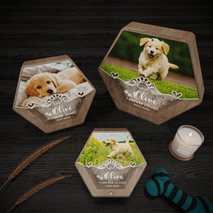 Custom Pet Memorial Box, Pet Fur Keepsake, Pet Hair Storage Box, Acrylic Box with Pet Picture, Pet Tooth Memorial Gift