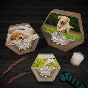 Custom Pet Memorial Box, Pet Fur Keepsake, Pet Hair Storage Box, Acrylic Box with Pet Picture, Pet Tooth Memorial Gift