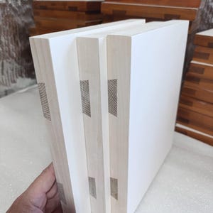 Ortodox platt ikontavla 20 x 25 cm – Äkta Levkas Gesso, Linne Pavoloka, Lindeträpanel, Kovcheg, Färdig för äggtemperamålning bild 1