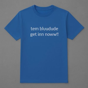 tem bluudude roblox shirt – matching gamer t-shirt for c00lkid fans – funny blue aesthetic tee for kids & teens