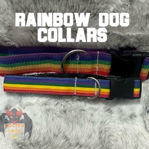Rainbow Dog Collars