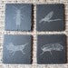 see more listings in the Drink Coasters section