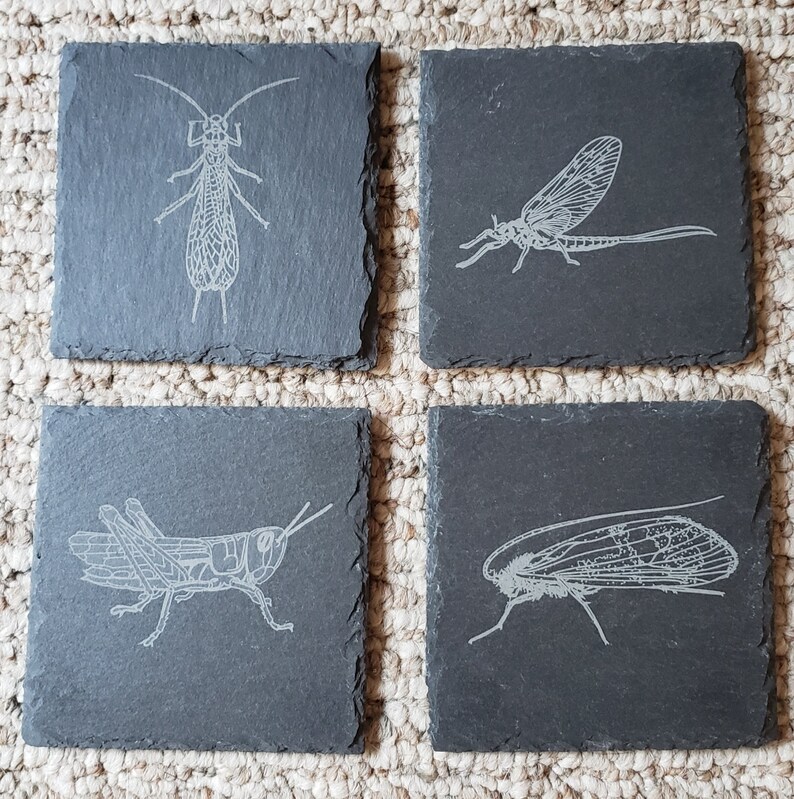 Trout bugs Drink Coasters image 1