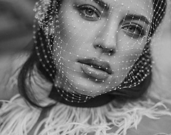 Gatsby style birdcage, handmade veil, parisian style accessory, 20's inspired bridal headpiece, accessory for a bride