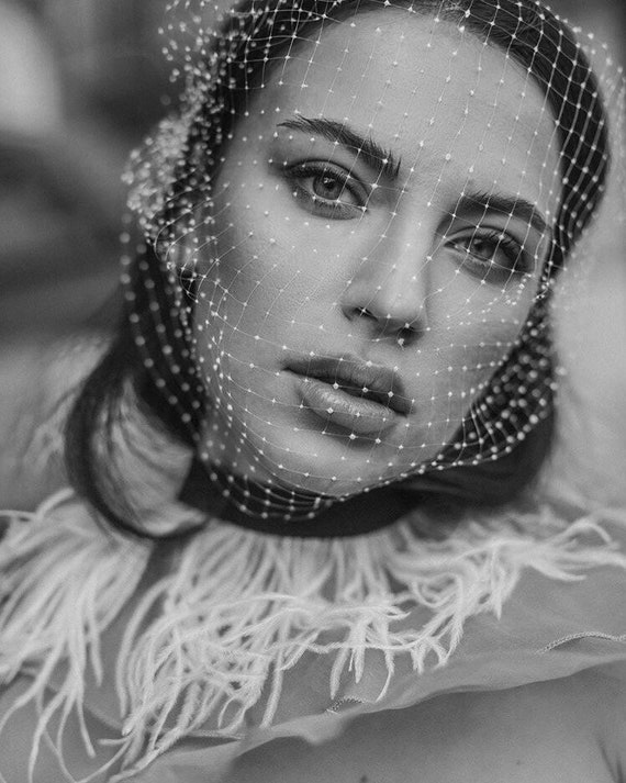 Gatsby Style Birdcage, Handmade Veil, Parisian Style  display picture 1