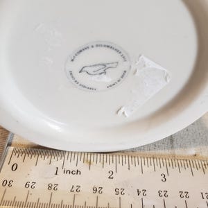 May include: A white ceramic plate with a bird illustration and text that reads "Microwave & Dishwasher Safe" and "Made in China". A ruler shows the plate is approximately 1 inch in diameter.