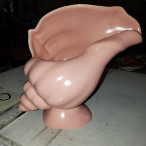 May include: A pink ceramic seashell-shaped planter. The planter has a wide opening and a curved, textured exterior, resting on a small, round base. The color is a soft, muted pink, and the surface has a glossy finish. The planter is designed to resemble a conch shell.
