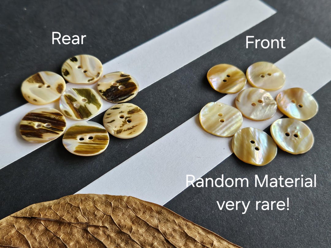 Awabi Shell Button 20.3mm Real Pearl, Awabi Gold Shell Buttons Natural RARE 13/16