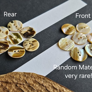May include: A selection of oval buttons, each with two holes. The buttons are crafted from a random, very rare material, displaying a palette of cream, brown, and olive green. The image presents both the front and rear views of the buttons.