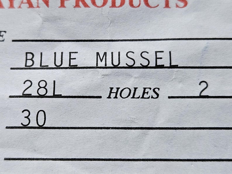 18mm Blue Mussel Real Shell Buttons Almost 3/4