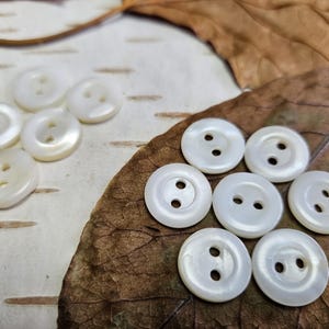 Può includere: Una collezione di bottoni bianchi a due fori con una lucentezza madreperlacea. I bottoni sono disposti su una superficie chiara e strutturata e su una foglia marrone. I bottoni misurano circa 1,3 cm di diametro.