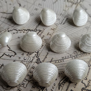 19 mm snäckskal, pilgrimsmusslingsformade knappar 3/4" sprayad pärla, nylon, italiensk