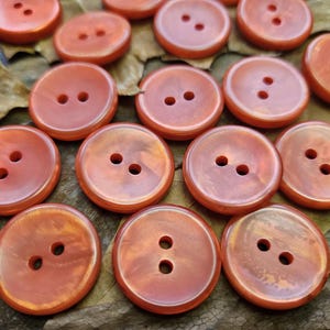 May include: A collection of orange-red buttons with two holes each. The buttons have a glossy, slightly swirled appearance, and are scattered on a bed of dried leaves. The buttons are round and vary slightly in size.