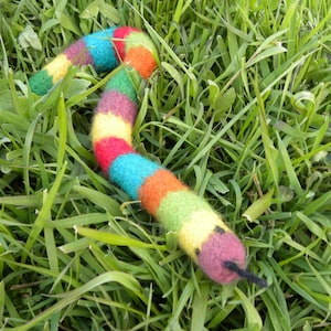 Könnte beinhalten: Ein farbenfrohes, handgestricktes Schlangenspielzeug mit einem langen, dünnen Körper und einem spitzen Kopf. Die Schlange ist aus verschiedenen Farben gefertigt, darunter Rot, Grün, Gelb, Blau und Lila.