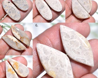 Natural Fossil Coral Pair, Oval Smooth Flat Back Gemstone, Polished Matching Earring Set