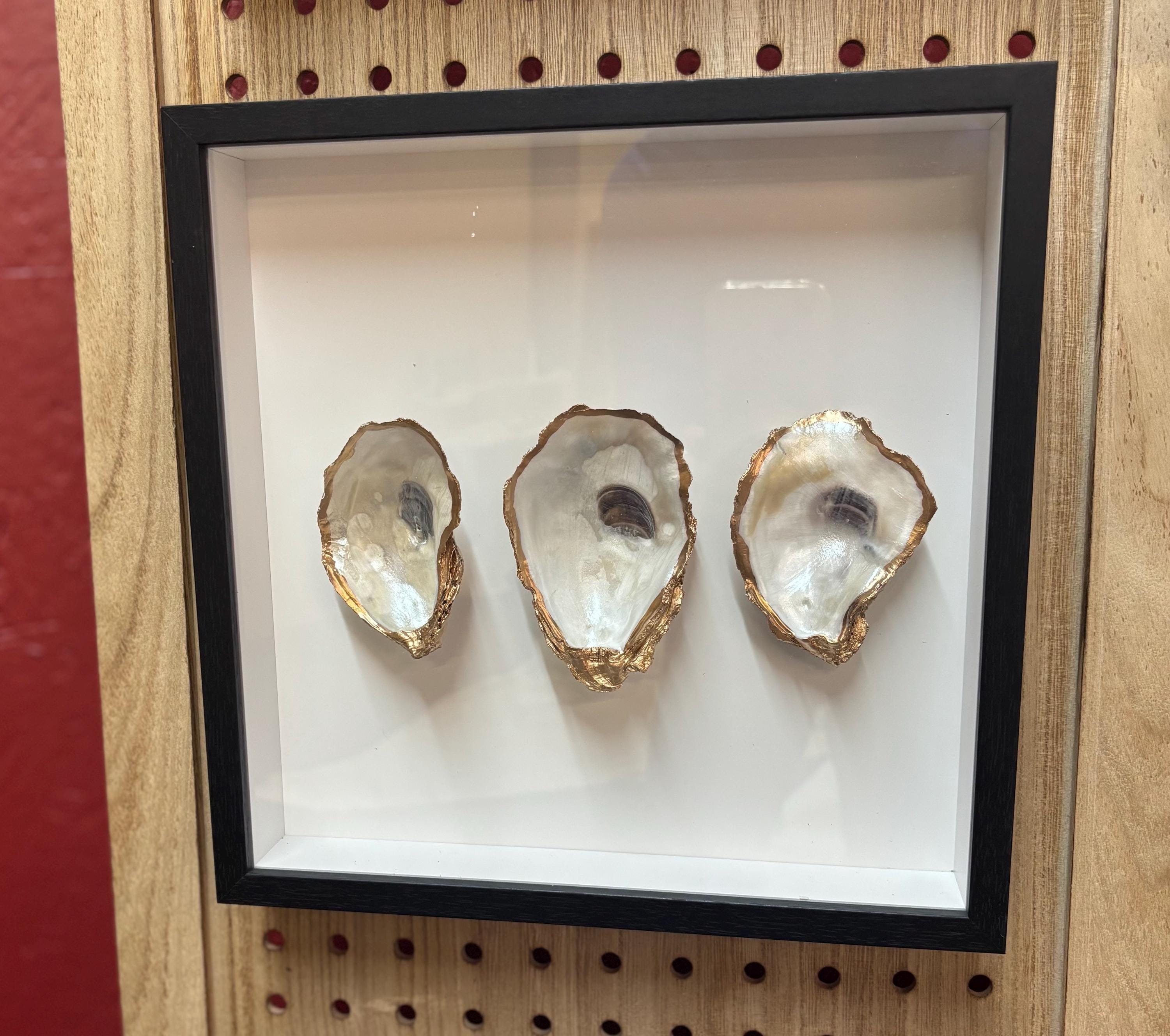 Oyster Shaped Box - Etsy Canada