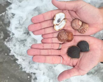 seashell stud earrings