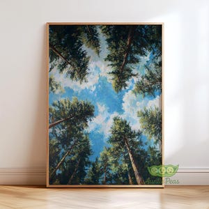 May include: A framed art print depicting a view looking up through tall evergreen trees towards a bright blue sky with fluffy white clouds. The artwork is in a wooden frame.