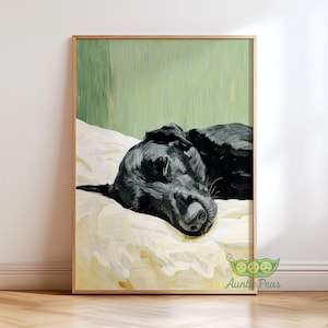 Może przedstawiać: Oprawiony wydruk artystyczny przedstawiający czarnego psa śpiącego spokojnie na kremowej powierzchni. Sierść psa jest błyszcząca, a grafika ma miękki, malarski styl. Tło jest w kolorze jasnozielonym.