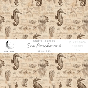 Może przedstawiać: Bezszwowy papier cyfrowy z motywem vintage pergaminu. Wzór przedstawia koniki morskie, meduzy, rozgwiazdy i muszle w odcieniach sepii. Wyświetlany jest tekst "Sea Parchment", o wymiarach 30,48 x 30,48 cm.