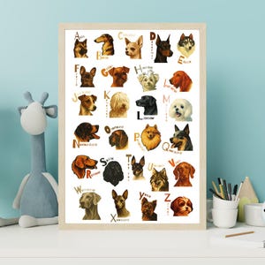 Dog Alphabet Poster Printable A to Z Dog Breeds Wall Art Nursery Kids Room Decor Classroom Educational Chart Instant Download