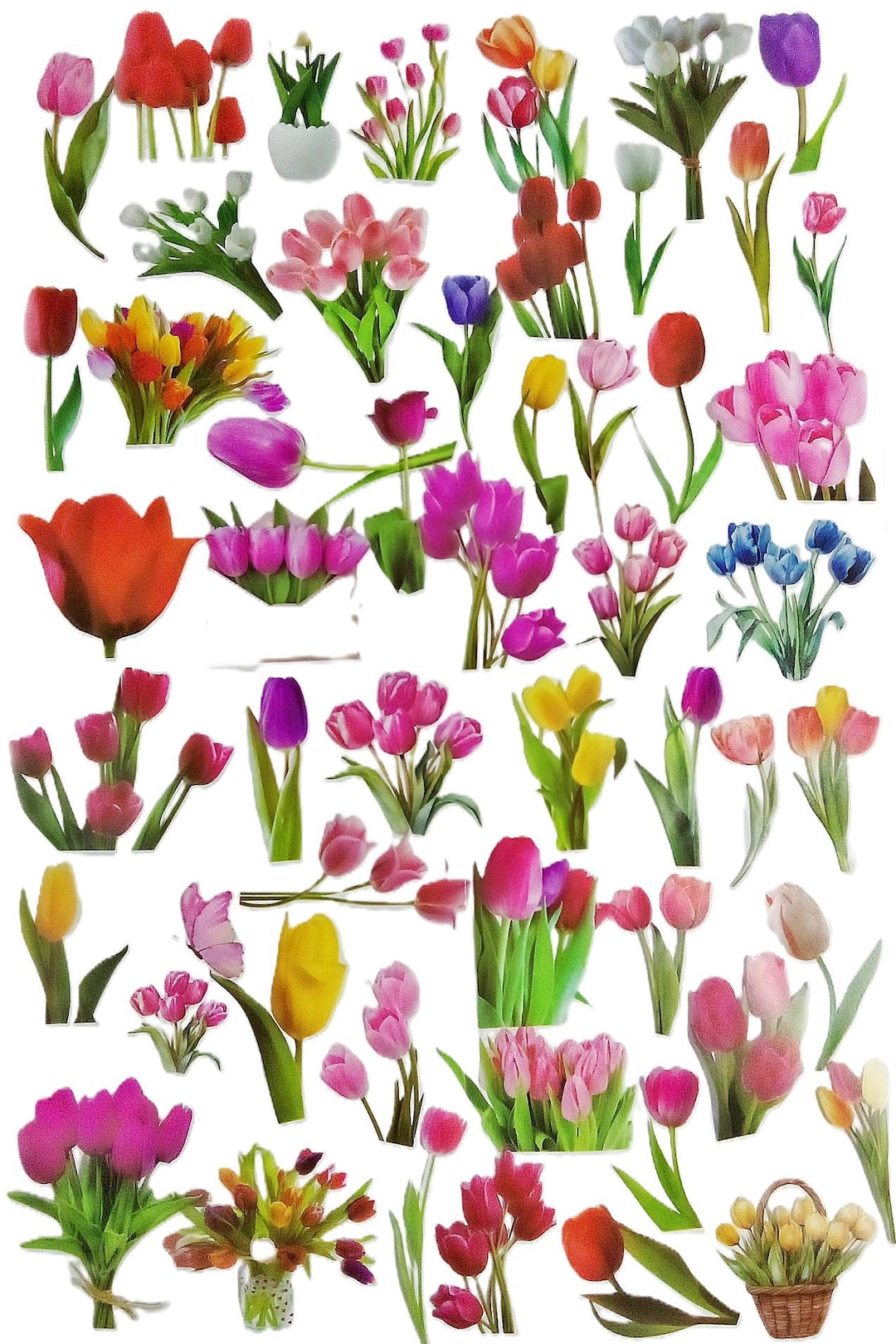 50 Pieces Tulips Waterproof Stickers DIY Crafts Supplies for Cardmaking ...
