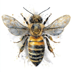 Puede incluir: Ilustración en acuarela de una abeja con alas y cuerpo detallados. La abeja presenta un abdomen a rayas amarillas y negras, con detalles dorados en las patas y las alas. Las alas son translúcidas con filigranas doradas.