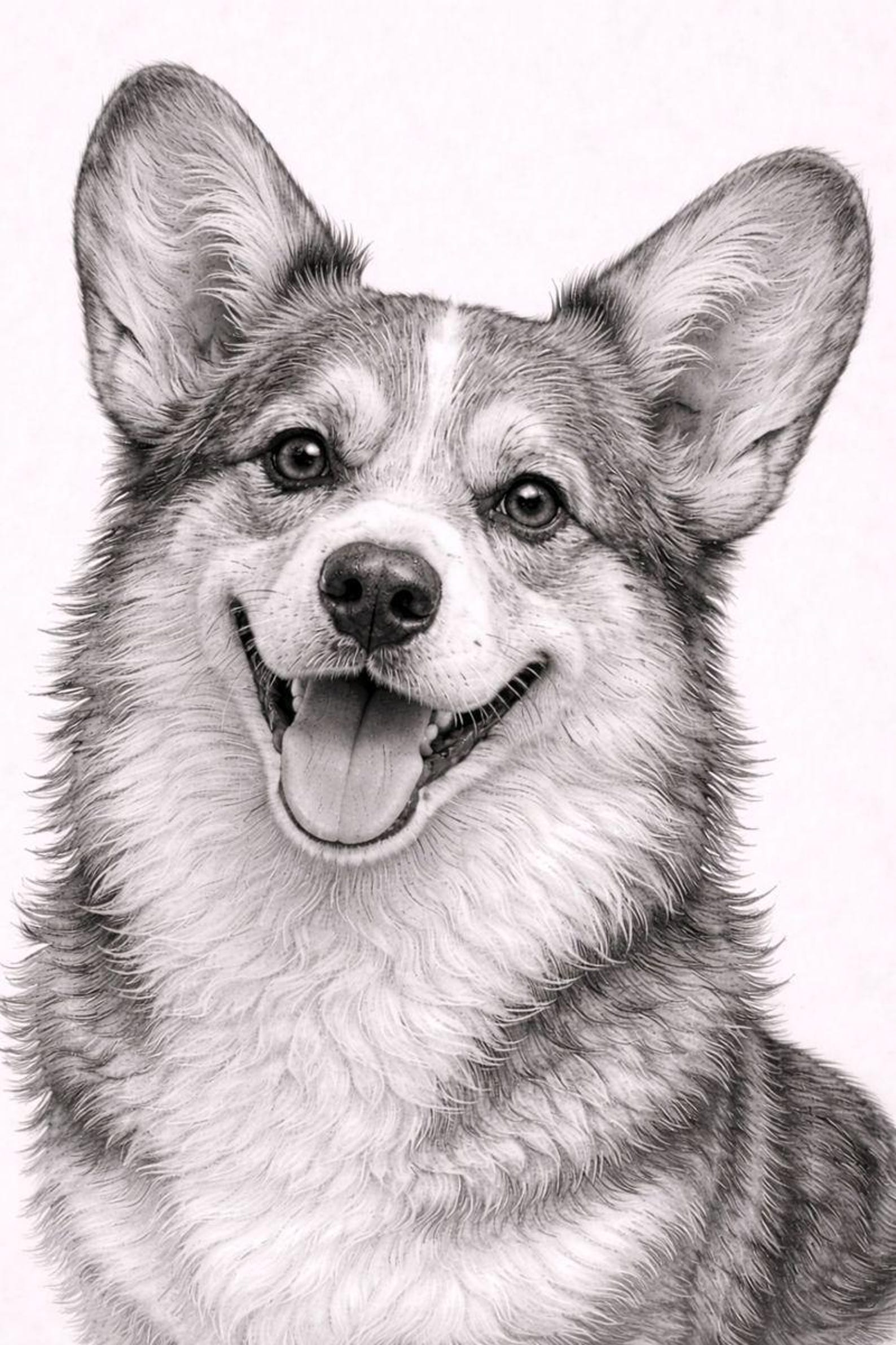 Corgi Dog Pencil Portrait Print – Black and White Pet Wall Art - Etsy