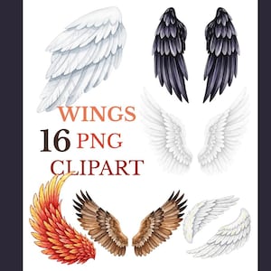 16 High Quality Wings PNG Clipart Set | Angel Wings PNG | Watercolor Vector Wing PNG | Transparent Background Digital Download