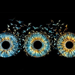 Personalized iris photo, Custom iris photo, Personalized eye photo, Custom eye photo, Home Decor, Wall Decor, Wand decor, FAMILY Max. 6 Eye