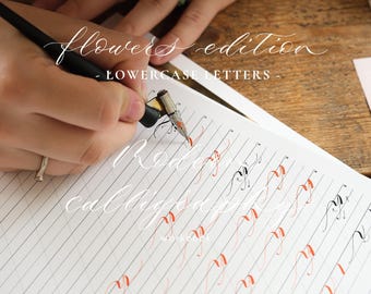 Cuaderno de ejercicios de caligrafía moderna: Práctica de letras minúsculas (Descargar PDF)