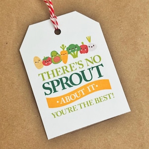 Étiquette-cadeau d'épicerie saine, étiquette-cadeau de magasin de germes pour enseignants, collègues, amis, No Sprout à ce sujet, vous êtes le meilleur !
